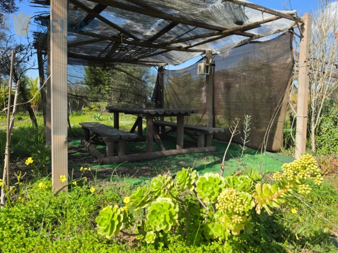 Quinta T2 para Venda em Monsaraz Foto 4