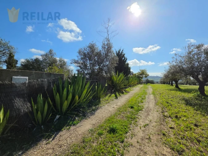 Quinta T2 para Venda em Monsaraz Foto 15