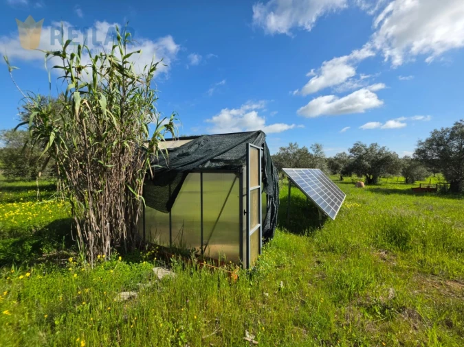 Quinta T2 para Venda em Monsaraz Foto 38