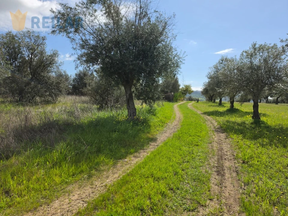 Terreno Agricola ou Rústico para Venda em Monsaraz Foto 16