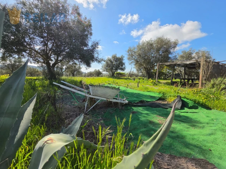 Terreno Agricola ou Rústico para Venda em Monsaraz Foto 21