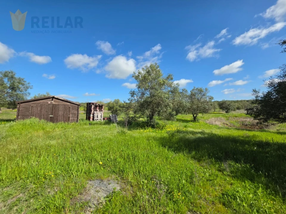 Terreno Agricola ou Rústico para Venda em Monsaraz Foto 26