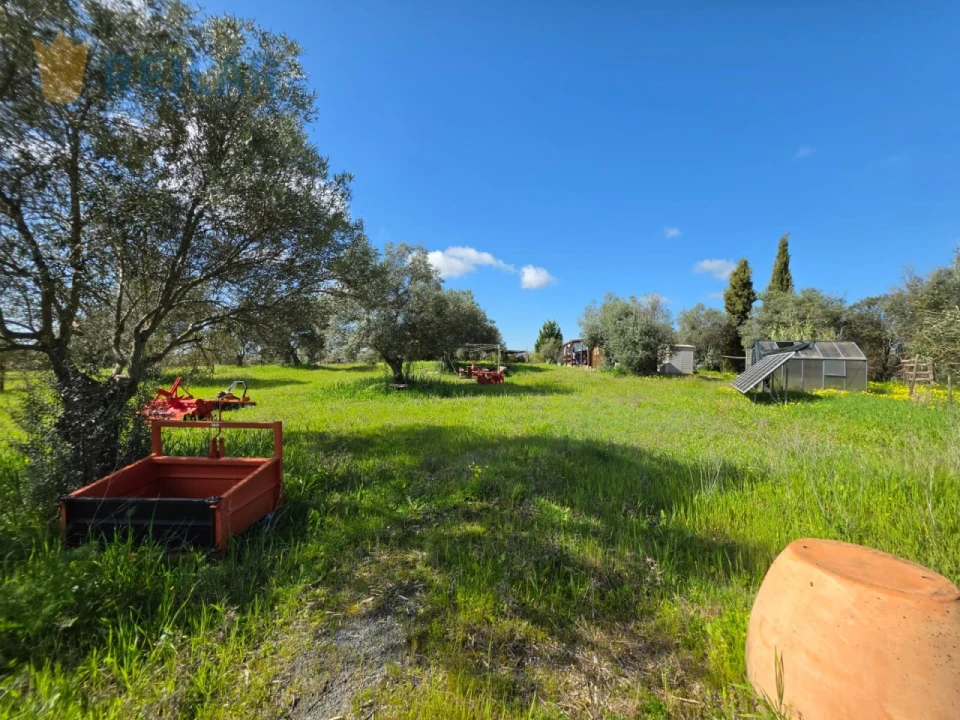 Terreno Agricola ou Rústico para Venda em Monsaraz Foto 27