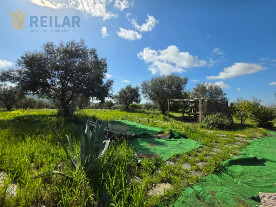 Terreno Agricola ou Rústico para Venda em Monsaraz Foto 33