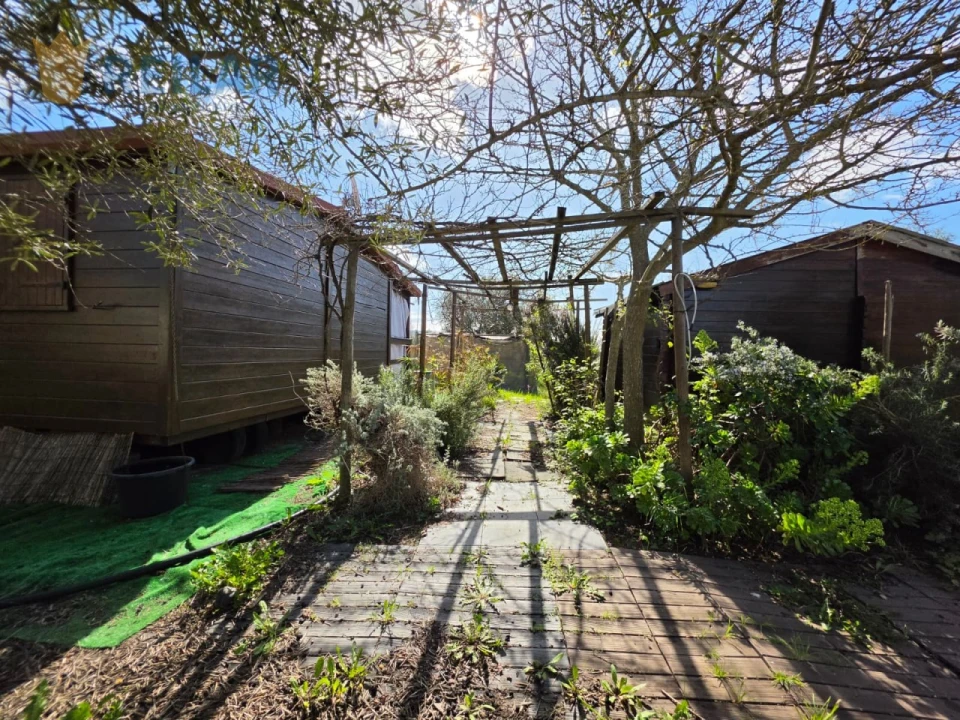 Terreno Agricola ou Rústico para Venda em Monsaraz Foto 35