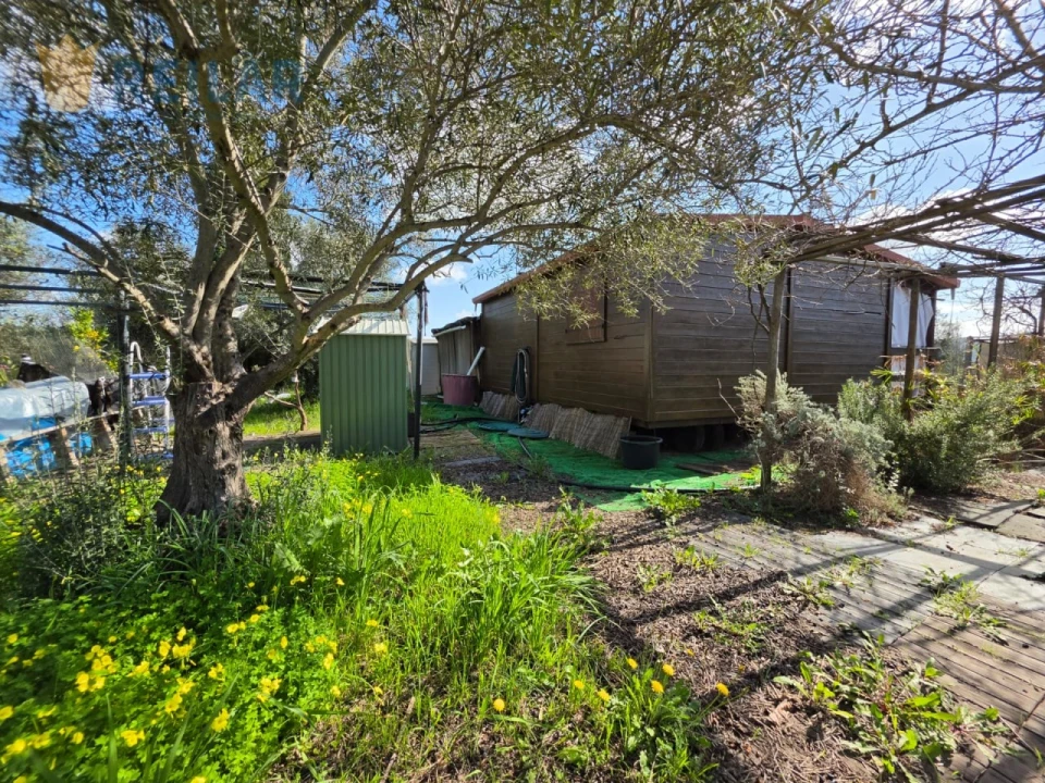 Terreno Agricola ou Rústico para Venda em Monsaraz Foto 37