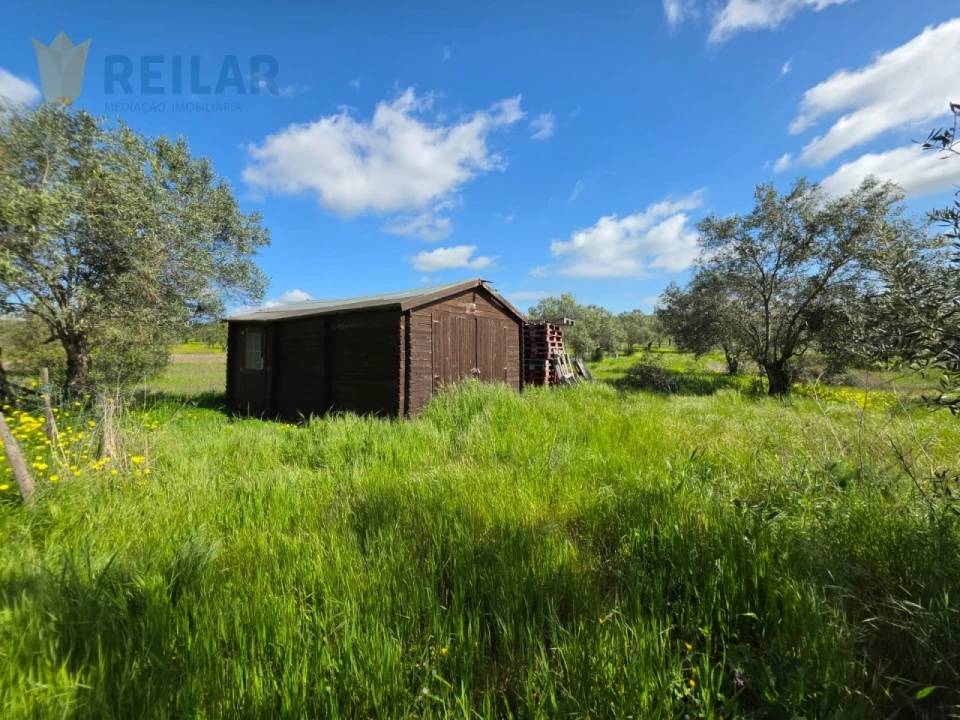 Terreno Agricola ou Rústico para Venda em Monsaraz Foto 45