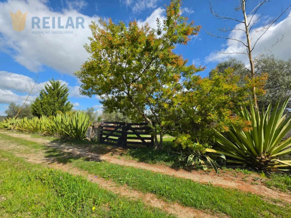 Terreno Agricola ou Rústico para Venda em Monsaraz Foto 48