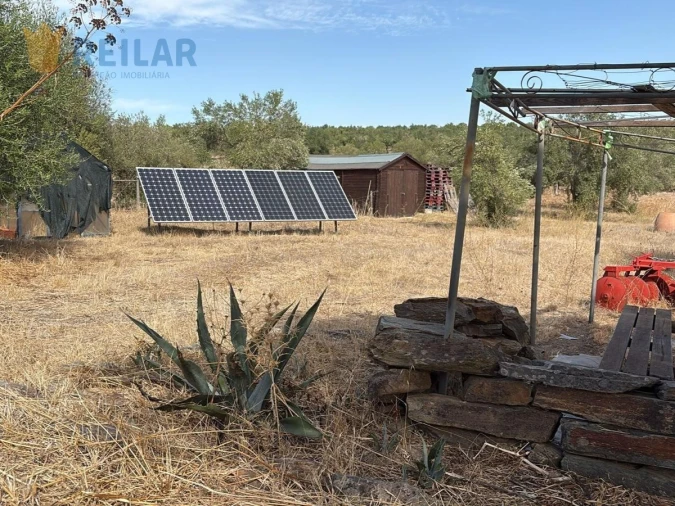 Terreno Agricola ou Rústico para Venda em Monsaraz Foto 3