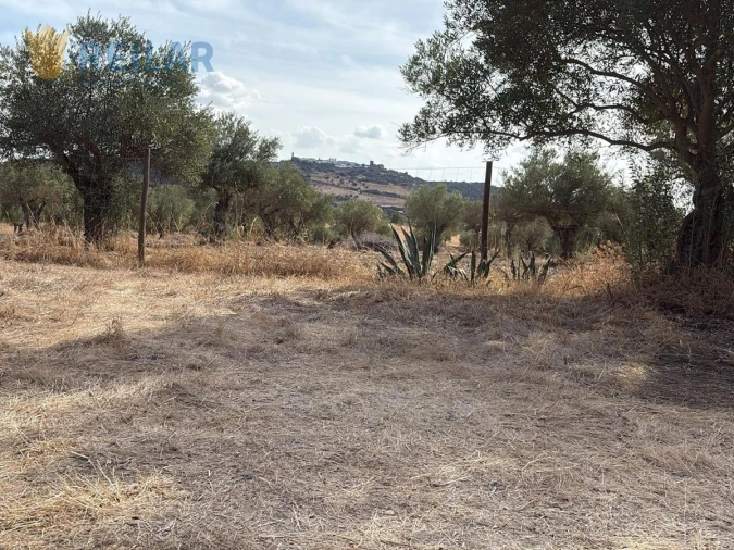 Terreno Agricola ou Rústico para Venda em Monsaraz Foto 22