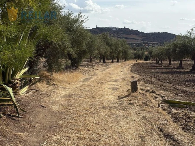 Terreno Agricola ou Rústico para Venda em Monsaraz Foto 23