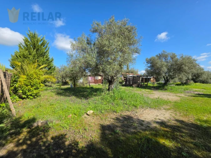 Terreno Agricola ou Rústico para Venda em Monsaraz Foto 19