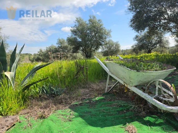 Terreno Agricola ou Rústico para Venda em Monsaraz Foto 46