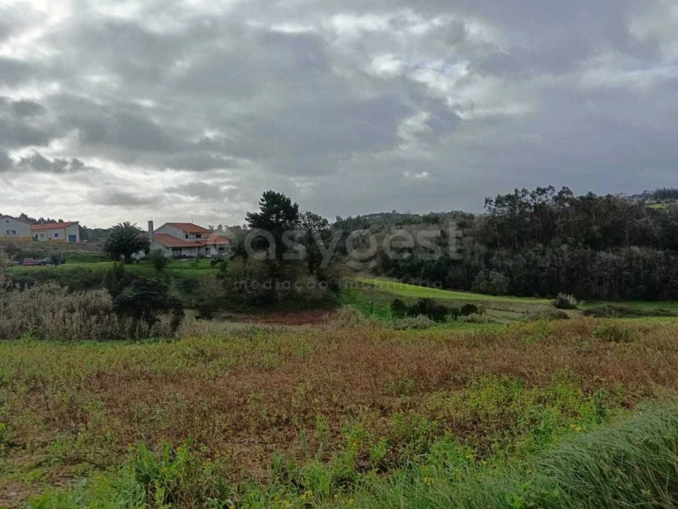 Terreno para Venda em Barrio Foto 6