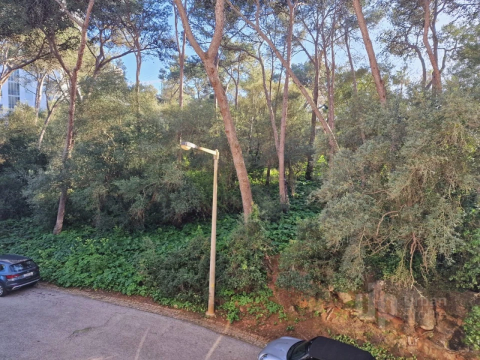 Apartamento T3 para Venda em Cascais e Estoril Foto 12