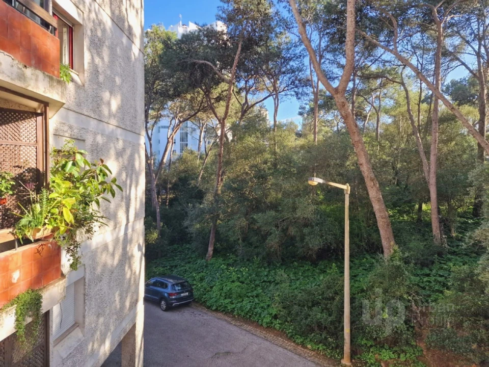 Apartamento T3 para Venda em Cascais e Estoril Foto 16