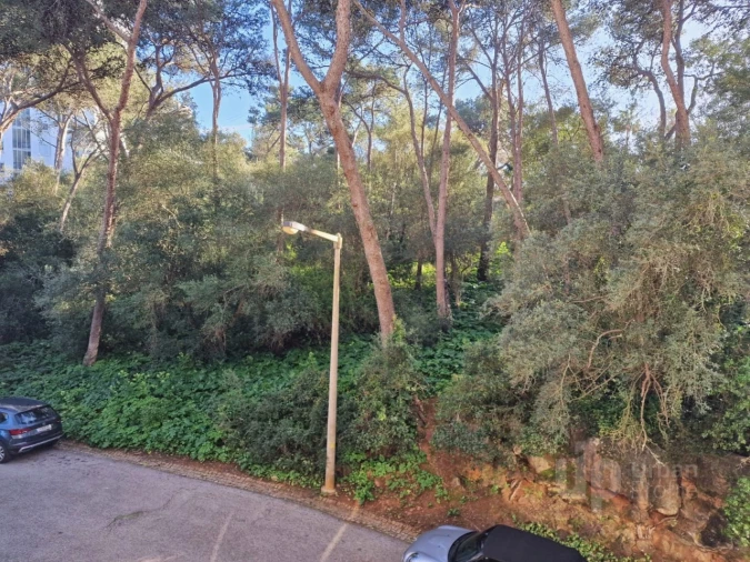 Apartamento T3 para Venda em Cascais e Estoril Foto 12