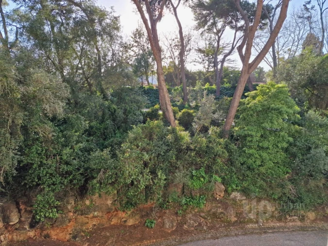 Apartamento T3 para Venda em Cascais e Estoril Foto 17