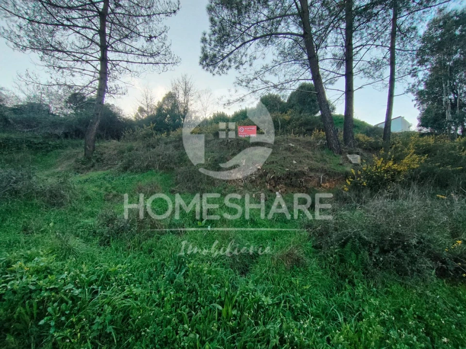 Terreno para Venda em Gandra Foto 3