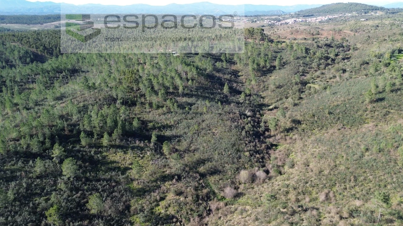 Terreno Agricola ou Rústico para Venda em Salgueiro do Campo Foto 1