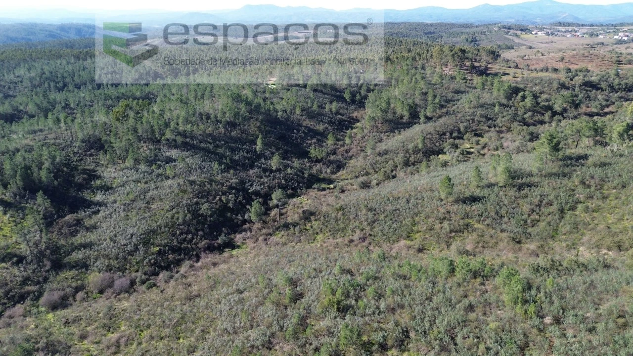 Terreno Agricola ou Rústico para Venda em Salgueiro do Campo Foto 2