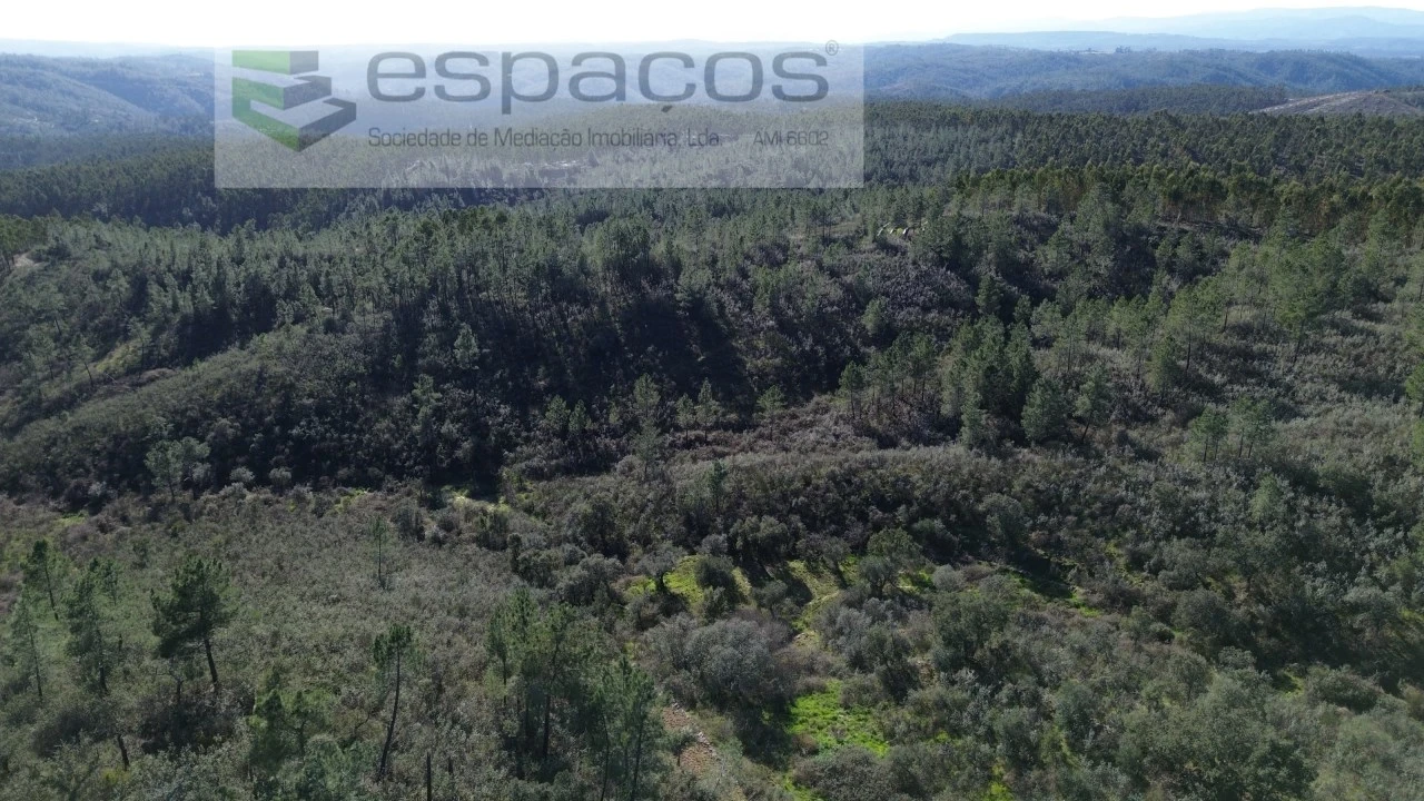 Terreno Agricola ou Rústico para Venda em Salgueiro do Campo Foto 5