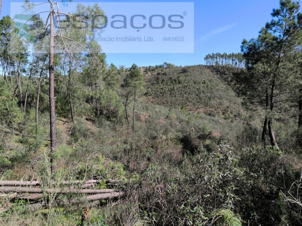 Terreno Agricola ou Rústico para Venda em Salgueiro do Campo Foto 8