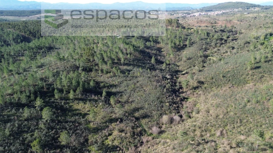 Terreno Agricola ou Rústico para Venda em Salgueiro do Campo