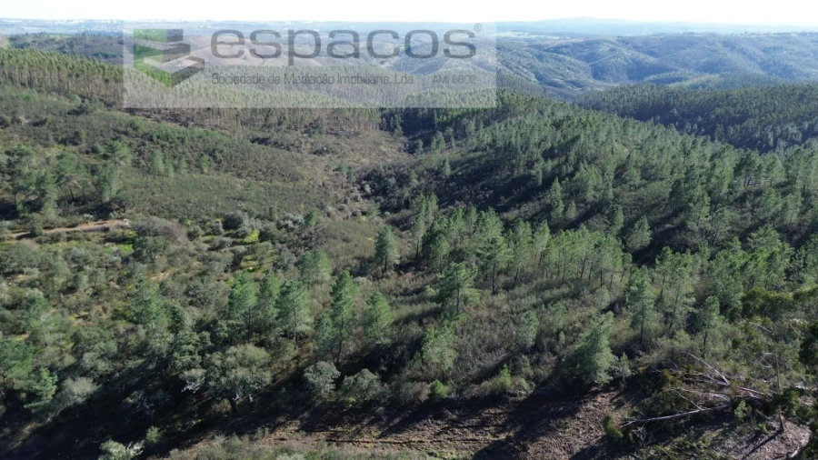 Terreno Agricola ou Rústico para Venda em Salgueiro do Campo Foto 4