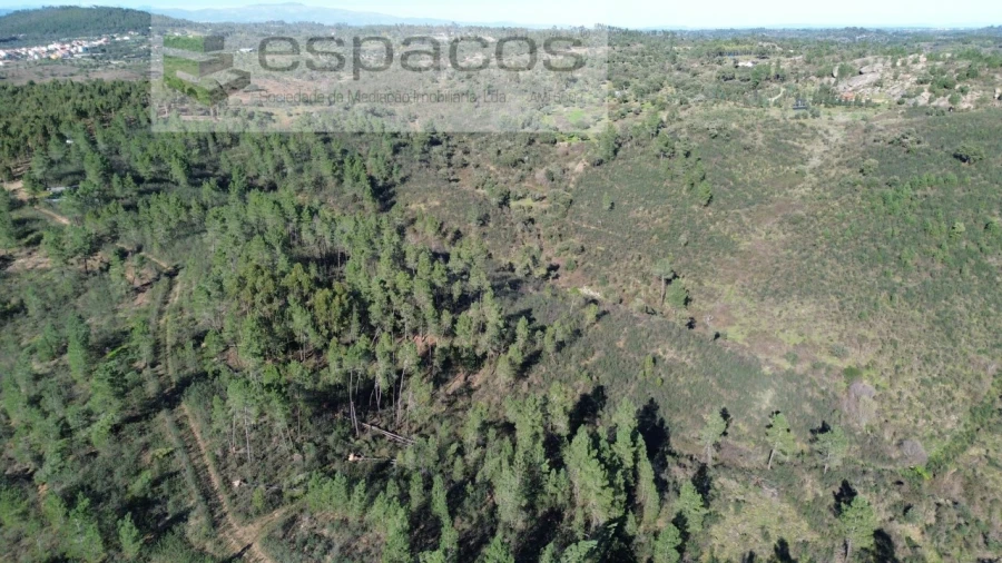 Terreno Agricola ou Rústico para Venda em Salgueiro do Campo Foto 6