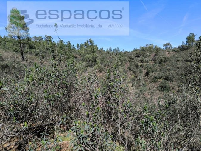 Terreno Agricola ou Rústico para Venda em Salgueiro do Campo Foto 9