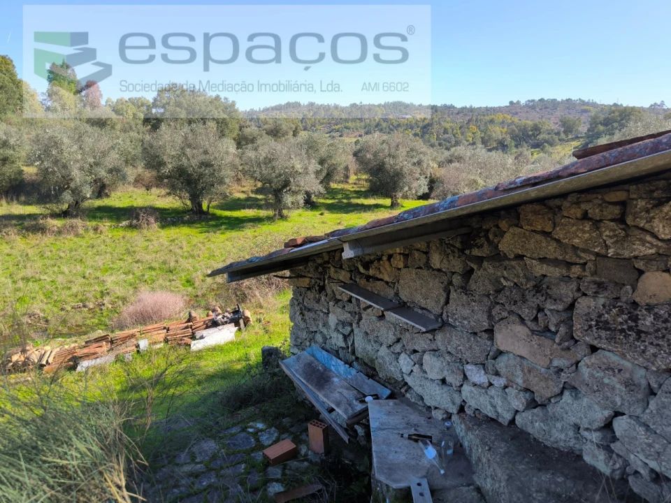 Terreno Agricola ou Rústico para Venda em Salgueiro do Campo Foto 1