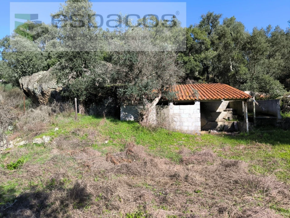 Terreno Agricola ou Rústico para Venda em Salgueiro do Campo Foto 6