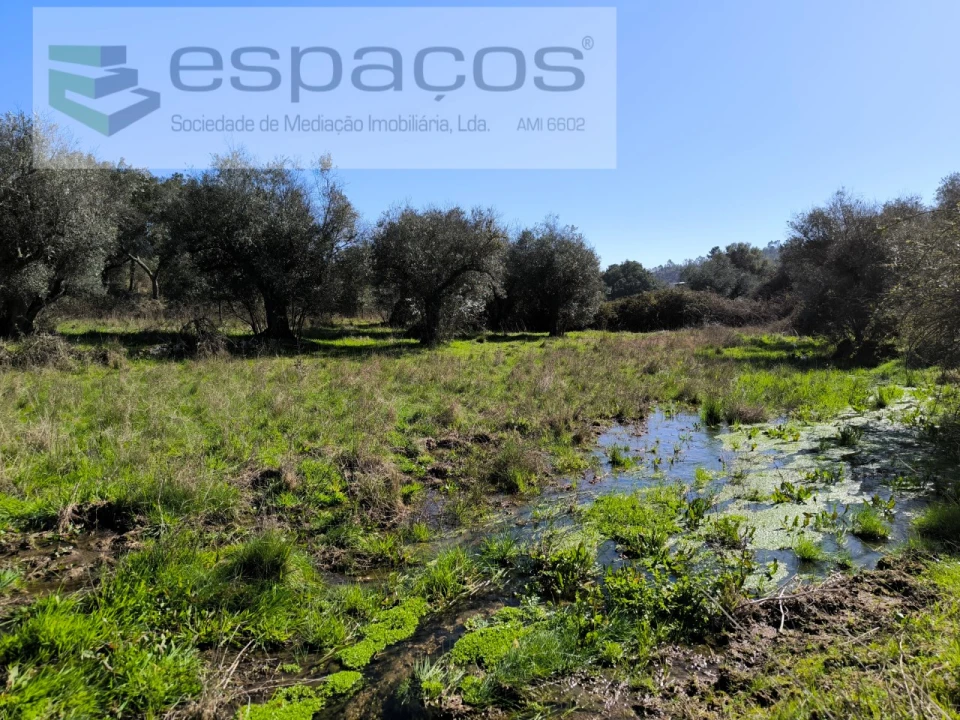 Terreno Agricola ou Rústico para Venda em Salgueiro do Campo Foto 11