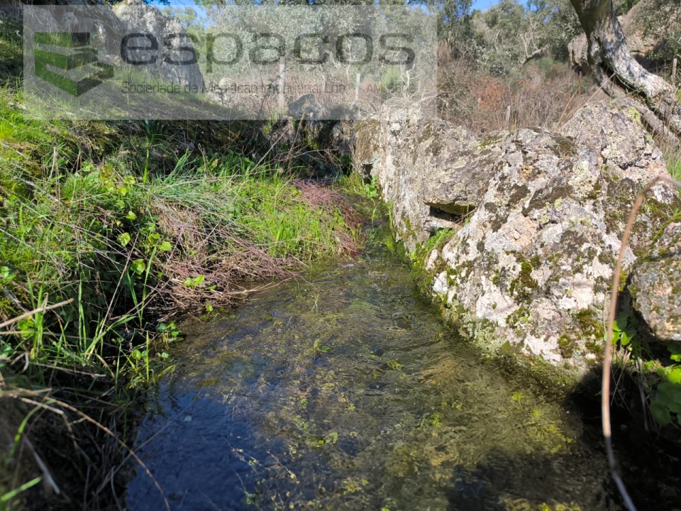 Terreno Agricola ou Rústico para Venda em Salgueiro do Campo Foto 12