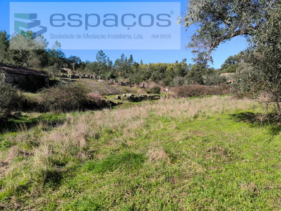 Terreno Agricola ou Rústico para Venda em Salgueiro do Campo Foto 17