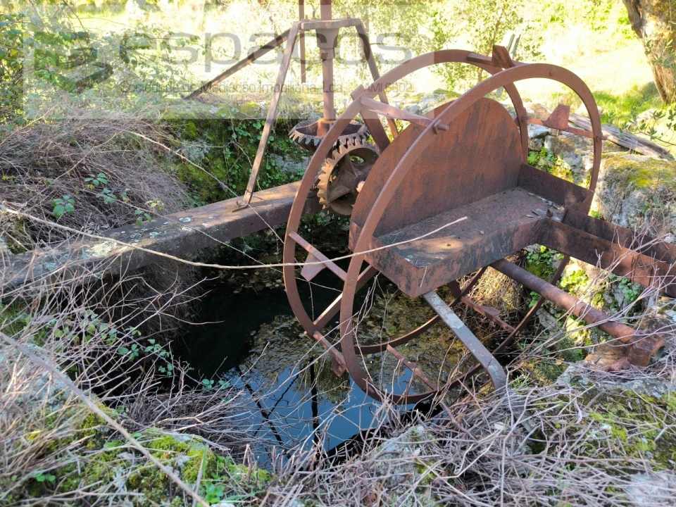 Terreno Agricola ou Rústico para Venda em Salgueiro do Campo Foto 18