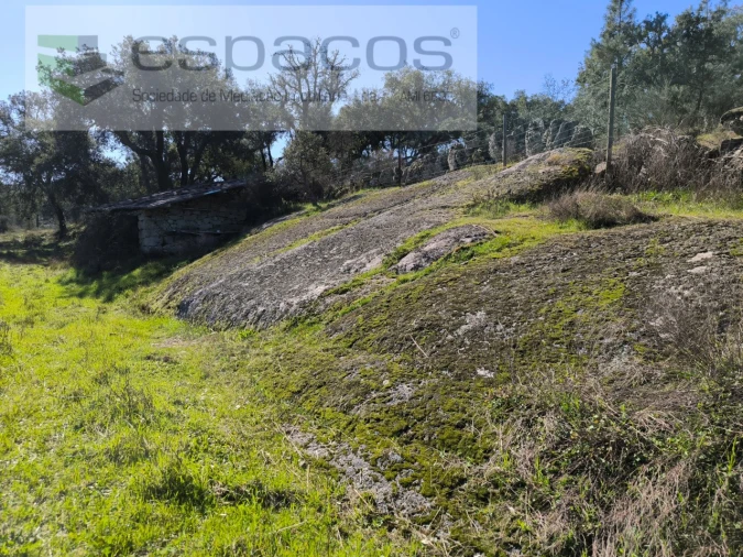 Terreno Agricola ou Rústico para Venda em Salgueiro do Campo Foto 3