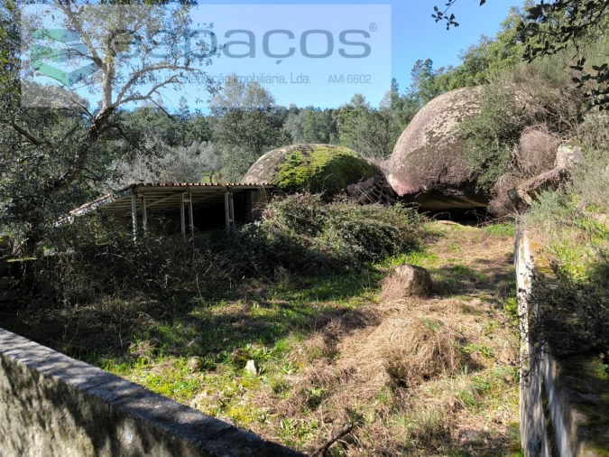 Terreno Agricola ou Rústico para Venda em Salgueiro do Campo Foto 10