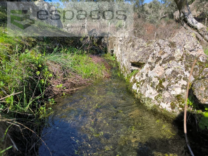 Terreno Agricola ou Rústico para Venda em Salgueiro do Campo Foto 12