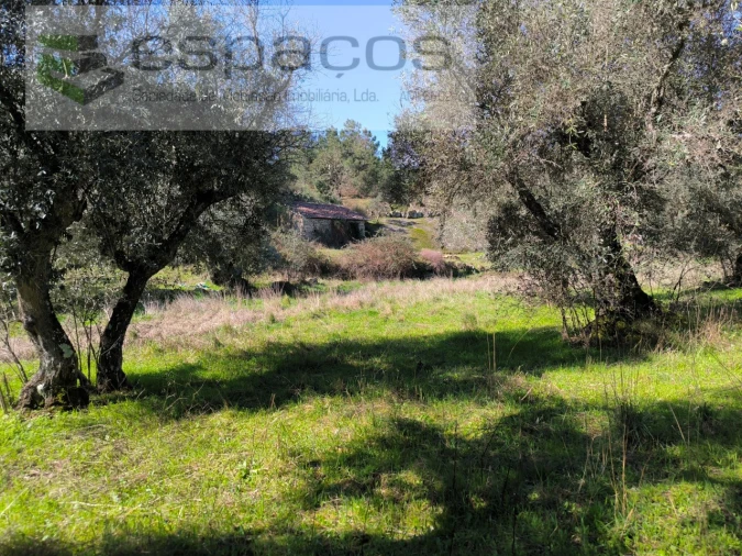 Terreno Agricola ou Rústico para Venda em Salgueiro do Campo Foto 16