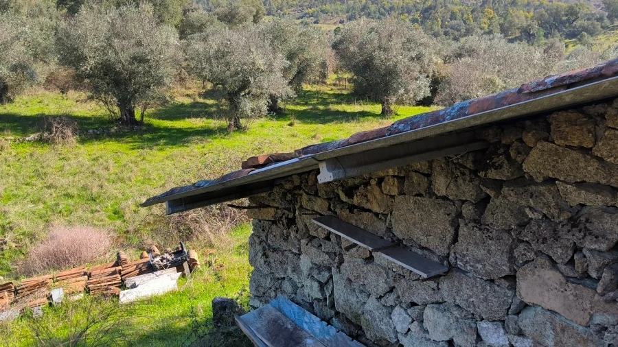 Terreno Agricola ou Rústico para Venda em Salgueiro do Campo