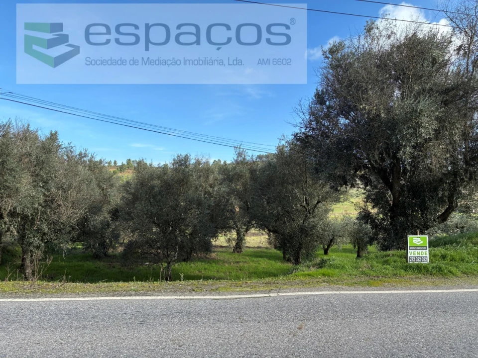 Terreno para Venda em Alcaria Foto 1