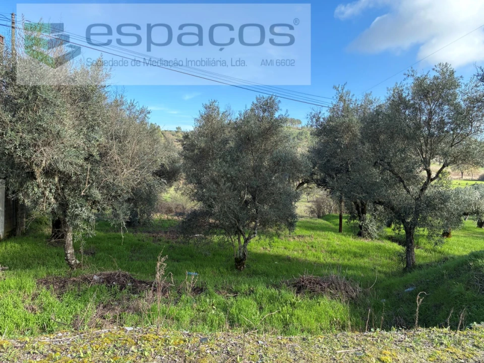 Terreno para Venda em Alcaria Foto 3