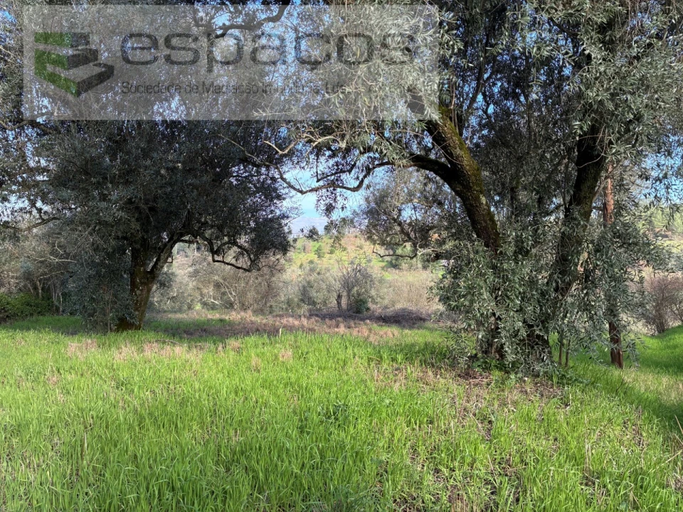 Terreno para Venda em Alcaria Foto 6