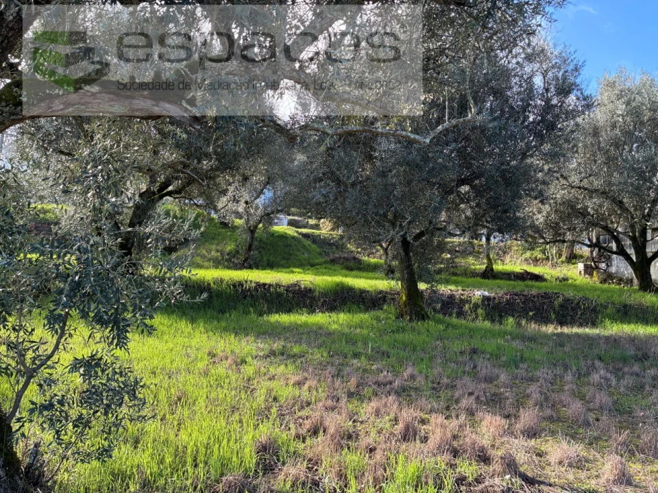 Terreno para Venda em Alcaria Foto 8