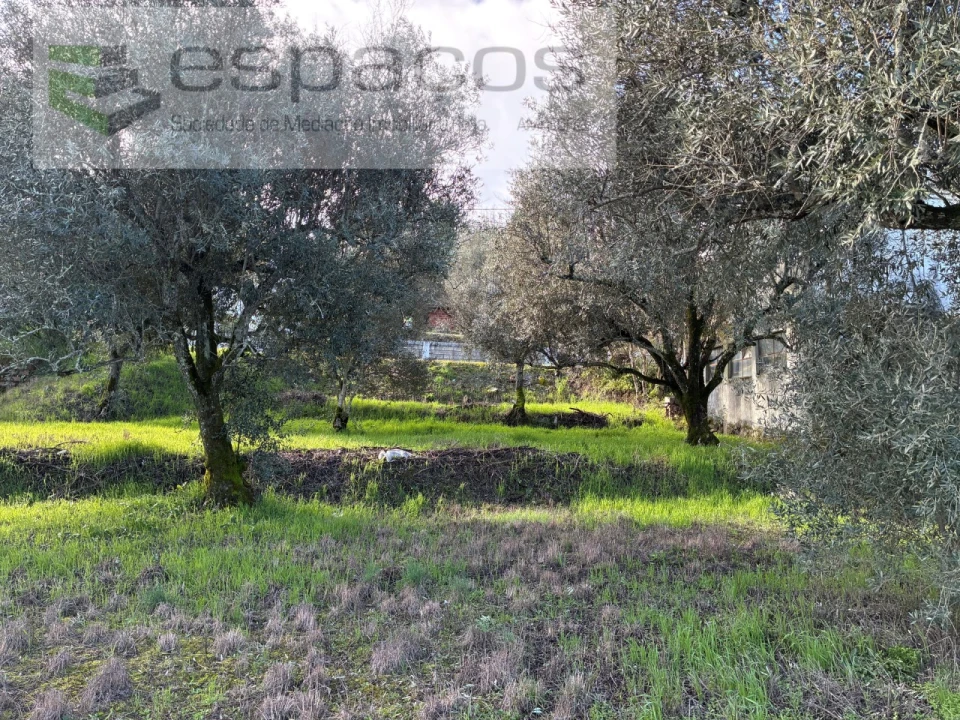 Terreno para Venda em Alcaria Foto 10