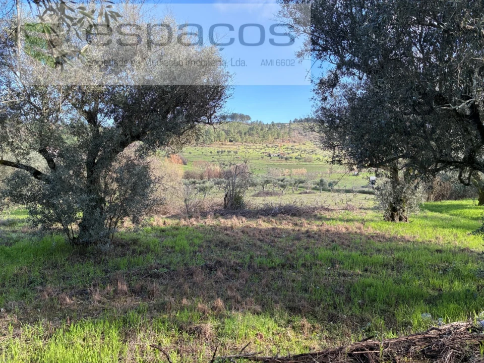 Terreno para Venda em Alcaria Foto 12