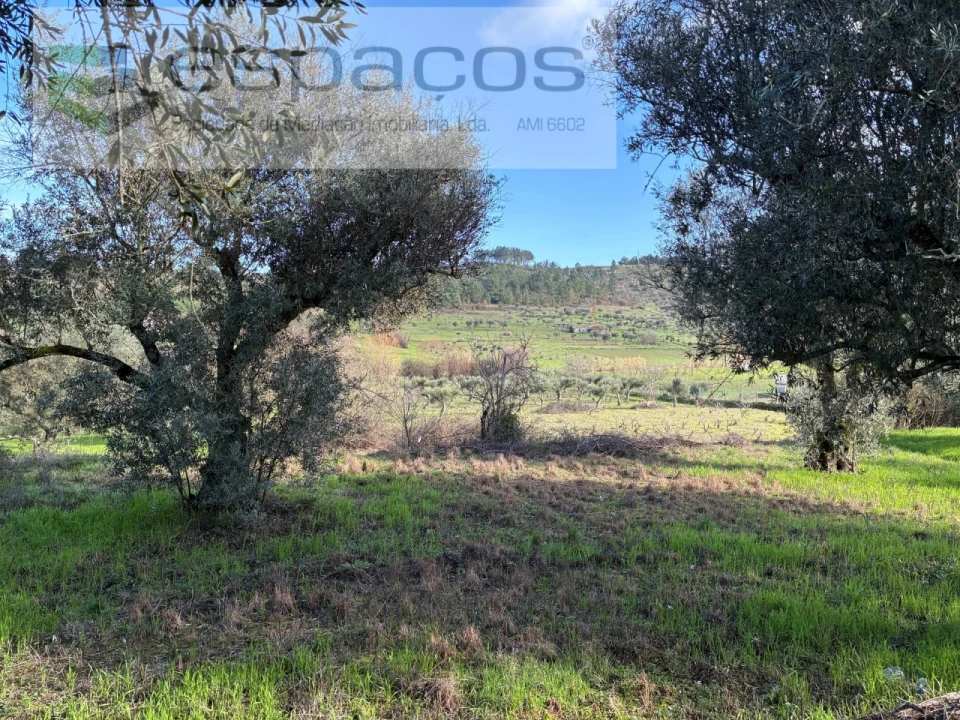 Terreno para Venda em Alcaria Foto 13