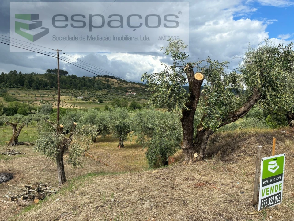 Terreno para Venda em Alcaria Foto 1
